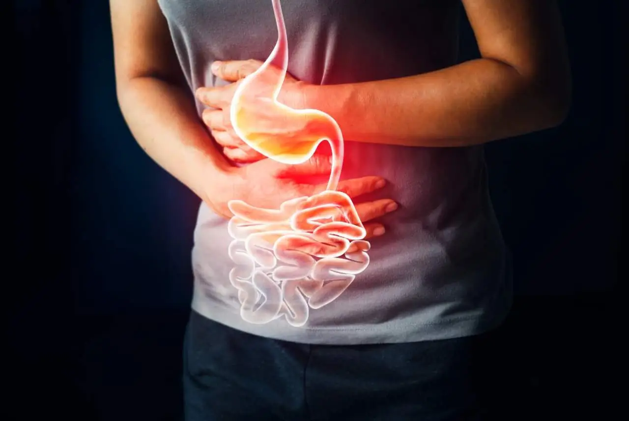 Digestione lenta dopo pranzo? Il trucco alimentare approvato dai gastroenterologi per sentirsi subito leggeri Digestione lenta dopo pranzo? Il trucco alimentare approvato dai gastroenterologi per sentirsi subito leggeri