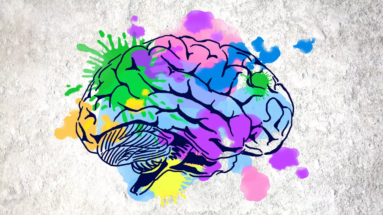 Ricarica la memoria a giugno: ecco la frutta secca consigliata dai neurologi per il cervello attivo Ricarica la memoria a giugno: ecco la frutta secca consigliata dai neurologi per il cervello attivo