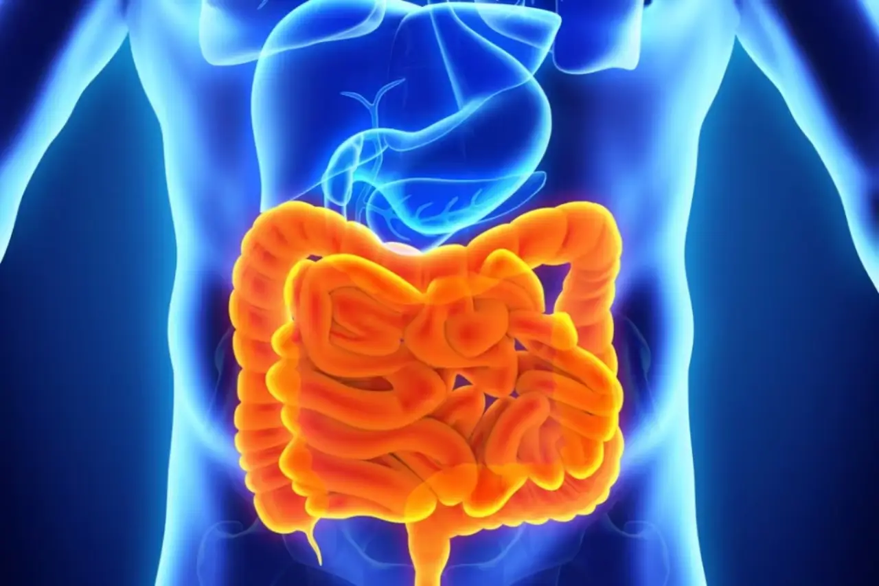 Digestione pesante la sera? Il rituale serale raccomandato dalla Federazione Medici del Sonno per dormire meglio Digestione pesante la sera? Il rituale serale raccomandato dalla Federazione Medici del Sonno per dormire meglio