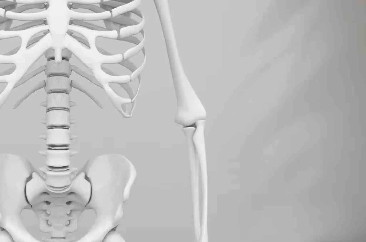 Come rafforzare le ossa dopo i 40 anni: le strategie alimentari estive della Società Italiana di Osteoporosi Come rafforzare le ossa dopo i 40 anni: le strategie alimentari estive della Società Italiana di Osteoporosi